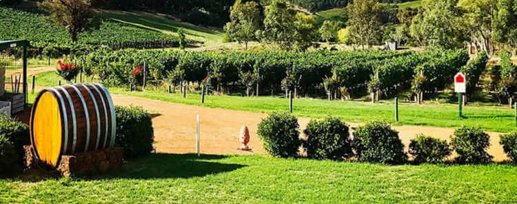 Wine tours from Perth